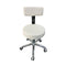 37-3027-3 PVC Backrest Round Seat with High Pump