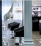 Maletti GALA Chair