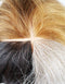 79-11-12 Mannequin Head #1 Multi Color (4 Colors)